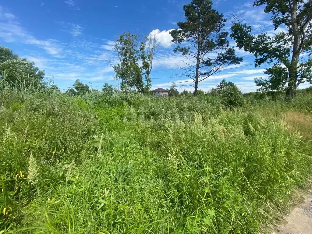 Участок в Хабаровский край, Хабаровский район, Тополевское с/пос, с. ... - Фото 2