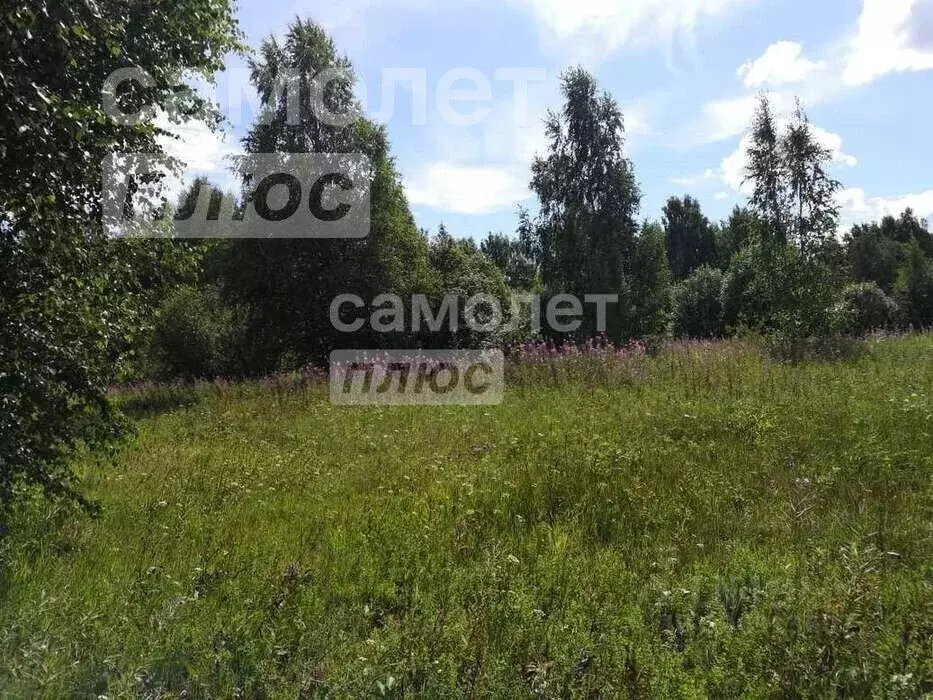 Участок в Вологодская область, Усть-Кубинский муниципальный округ, д. ... - Фото 2