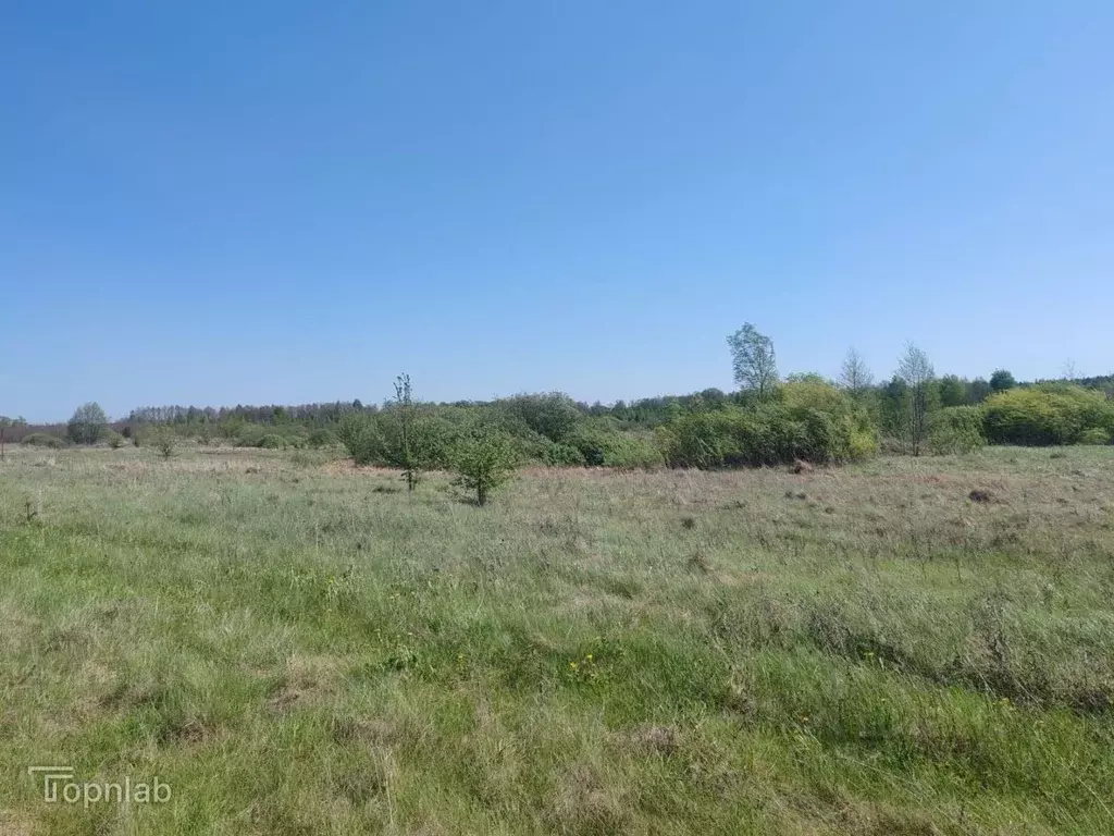 Участок в Тамбовская область, Тамбовский муниципальный округ, с. ... - Фото 1