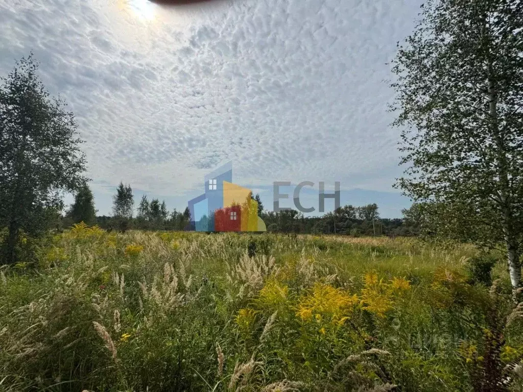 Участок в Тульская область, Тула городской округ, д. Погромное, 13-й ... - Фото 1