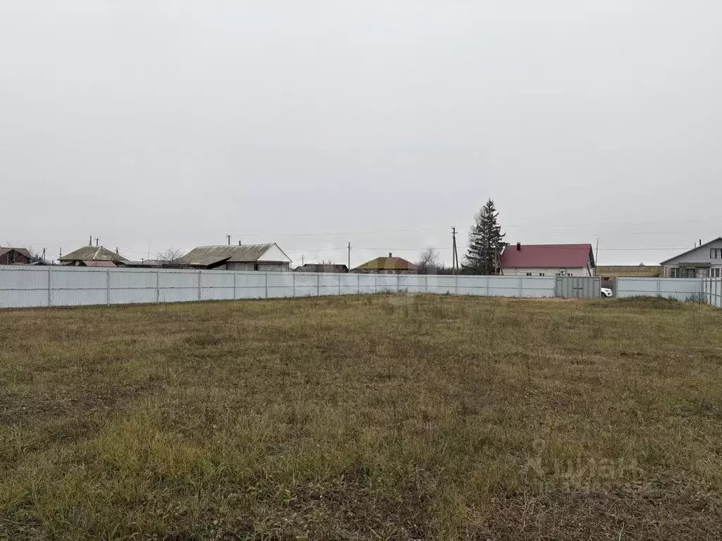 Участок в Воронежская область, Борисоглебский городской округ, с. ... - Фото 1