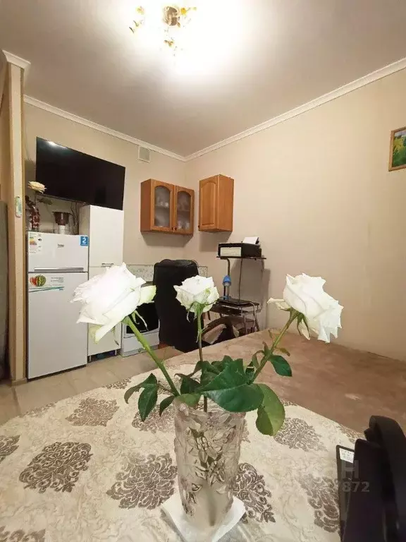 Студия Москва Дмитровское ш., 107к3 (24.6 м) - Фото 2