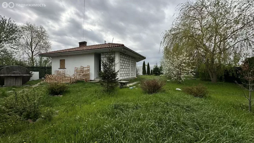 Участок в Зеленоградск, посёлок Малиновка (14.95 м) - Фото 0