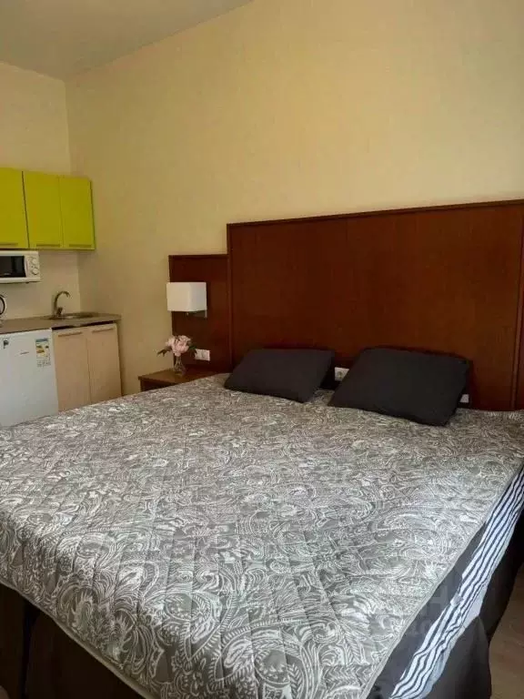 1-к кв. Московская область, Химки Новогорск мкр, 12 (20.0 м) - Фото 0