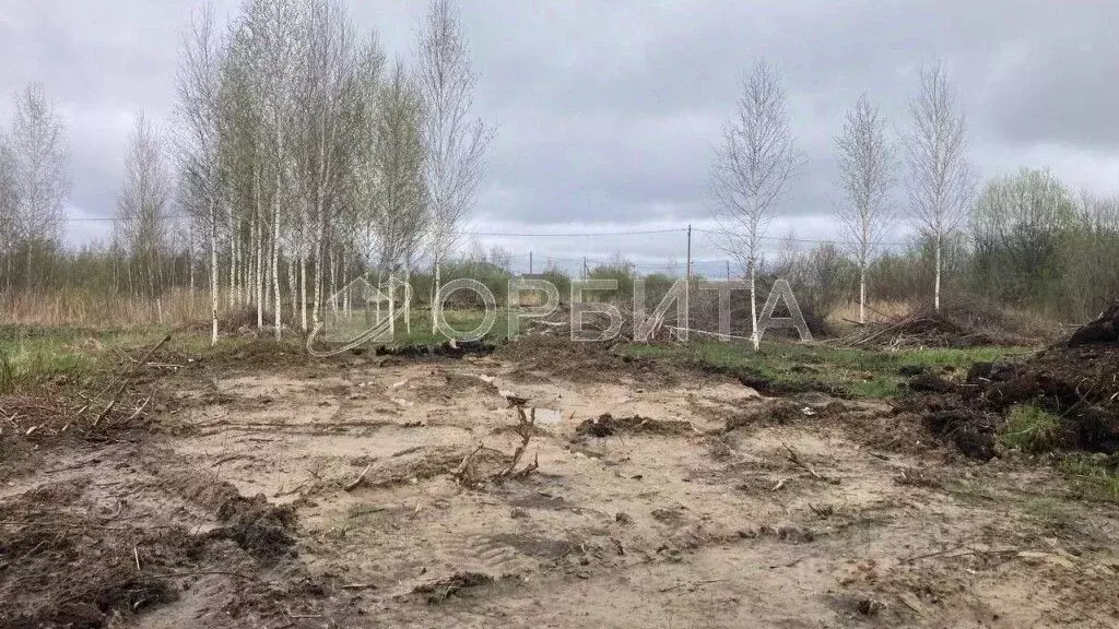 Участок в Тюменская область, Нижнетавдинский район, Здоровье-3 СТ  ... - Фото 1