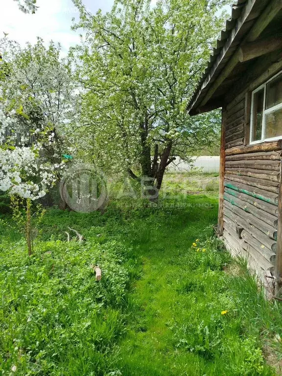 Дом в Владимирская область, Селивановский муниципальный округ, деревня ... - Фото 2