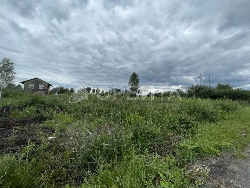 Участок в Тюменская область, Тюмень Березняки СНТ,  (11.0 сот.) - Фото 1