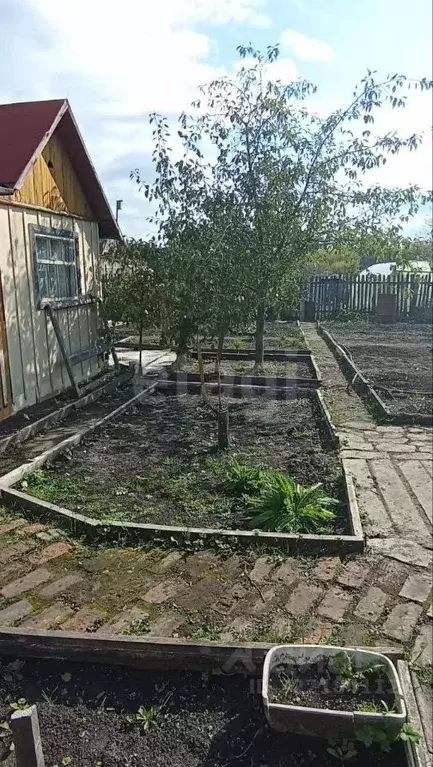 Дом в Курганская область, Шадринск Завода Полиграфических Машин 1 СНТ, ... - Фото 1