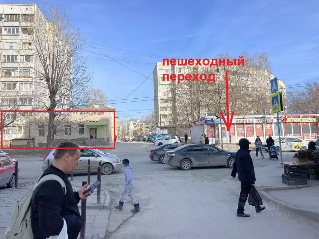 Помещение свободного назначения в Новосибирская область, Новосибирск ... - Фото 1