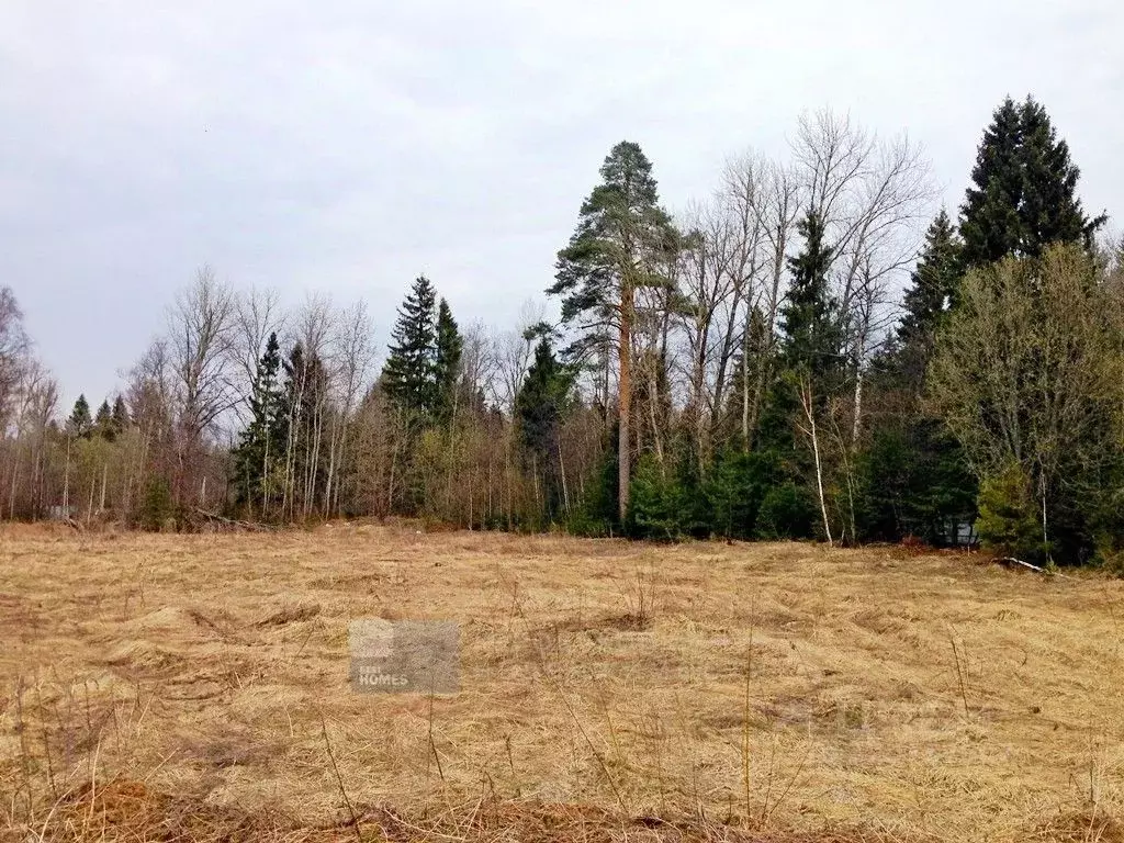 Участок в Московская область, Пушкинский городской округ, ... - Фото 0