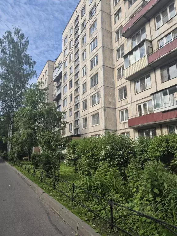 1-к кв. Санкт-Петербург просп. Энергетиков, 60к1 (31.0 м) - Фото 0