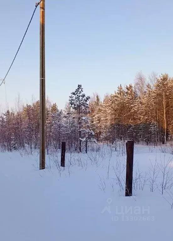 Участок в Ханты-Мансийский АО, Сургут Ручеек садовое товарищество, ул. ... - Фото 1