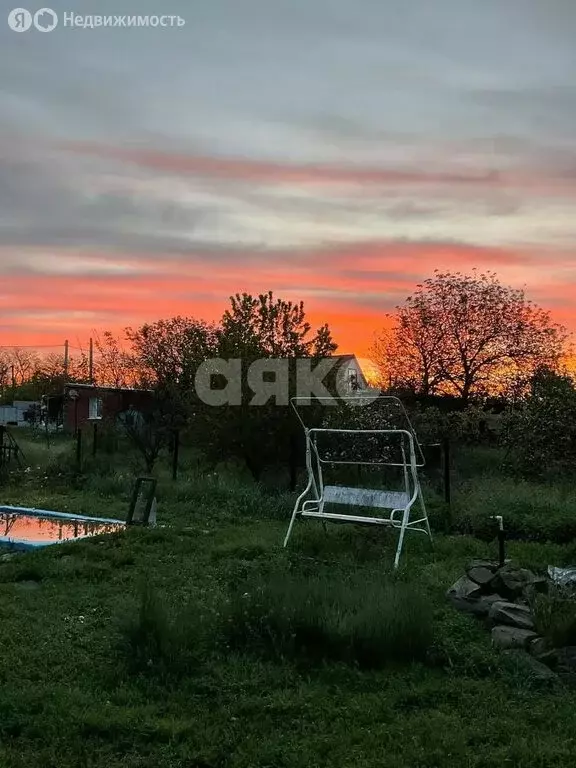 Участок в Азовский район, Новоалександровское сельское поселение, ДНТ ... - Фото 1