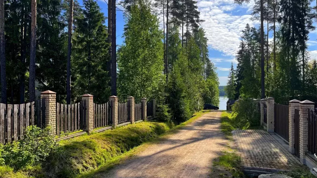 Участок в Ленинградская область, Выборгский район, Приморское ... - Фото 1