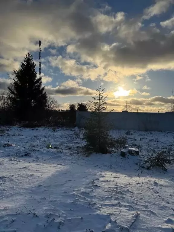 Участок в Московская область, Истра муниципальный округ, д. Дубровское ... - Фото 2