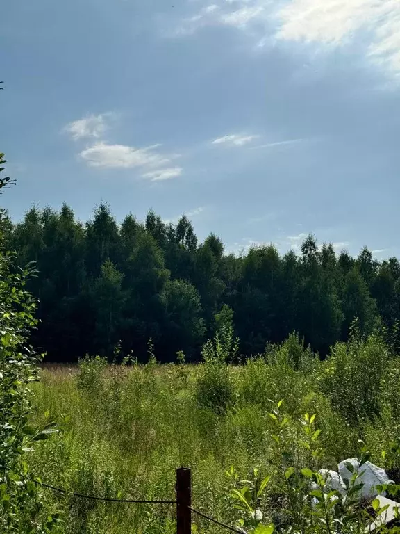 Участок в Московская область, Одинцовский городской округ, с. ... - Фото 0