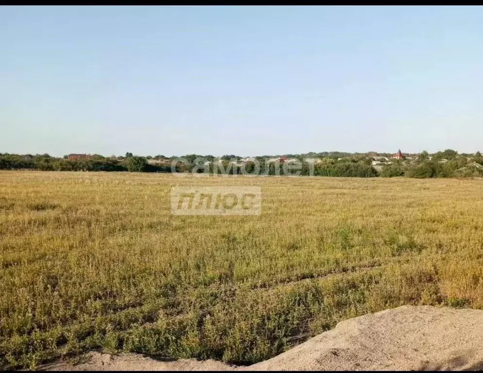 Участок в Ростовская область, Неклиновский район, с. Покровское пер. ... - Фото 1