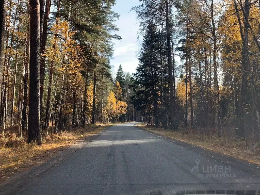 Участок в Татарстан, Зеленодольский район, Большеключинское с/пос, д. ... - Фото 0