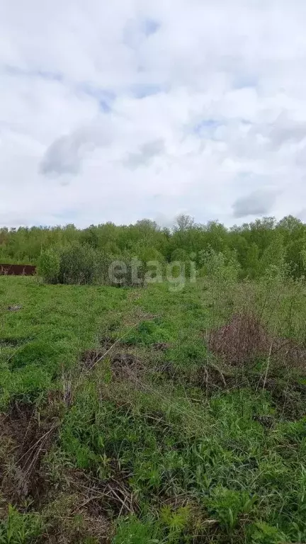 Участок в Московская область, Чехов городской округ, д. Дмитровка 35 ... - Фото 1