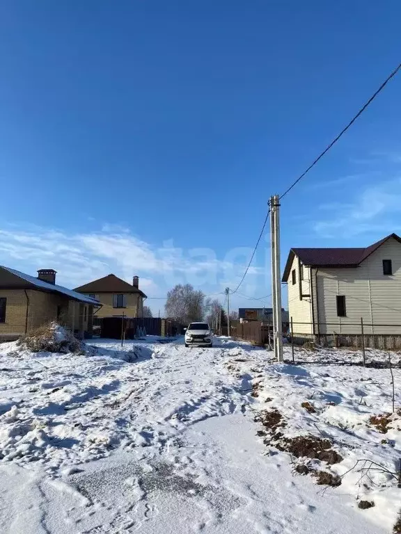 Участок в Костромская область, Красносельский район, Шолоховское ... - Фото 1