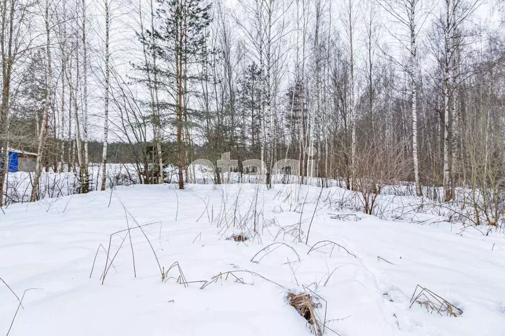 Снт Межурка Тверь Купить Дачу