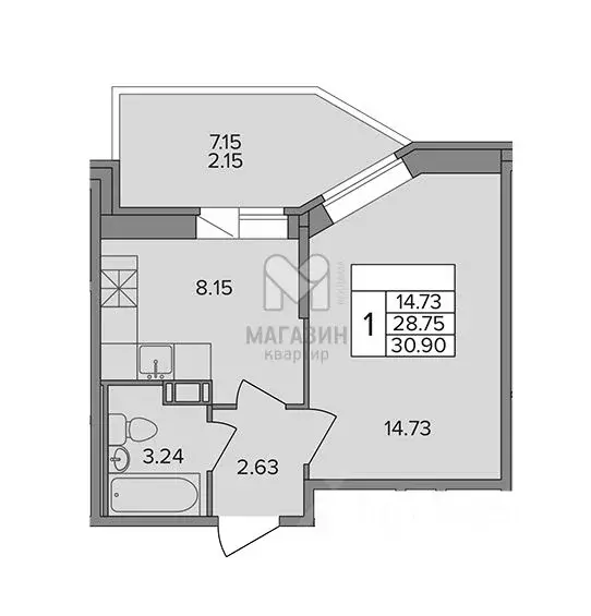 1-к кв. Ленинградская область, Всеволожский район, д. Новое Девяткино ... - Фото 2