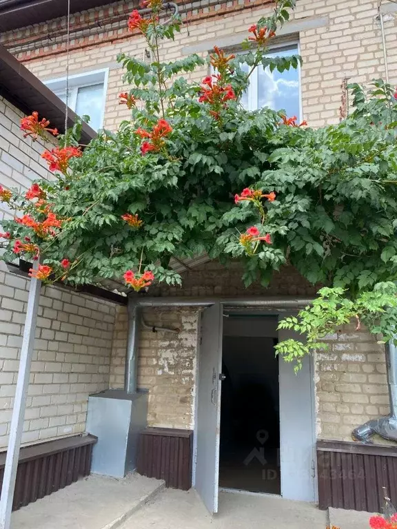 3-к кв. Воронежская область, Россошь Школьный пер., 6 (65.1 м) - Фото 2