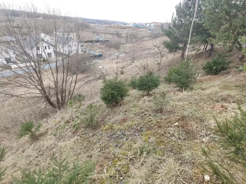 Участок в Московская область, Ленинский городской округ, д. Калиновка  ... - Фото 1