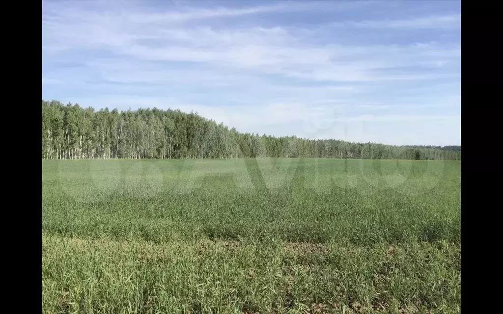 Купить Участок В Лаишевском Районе