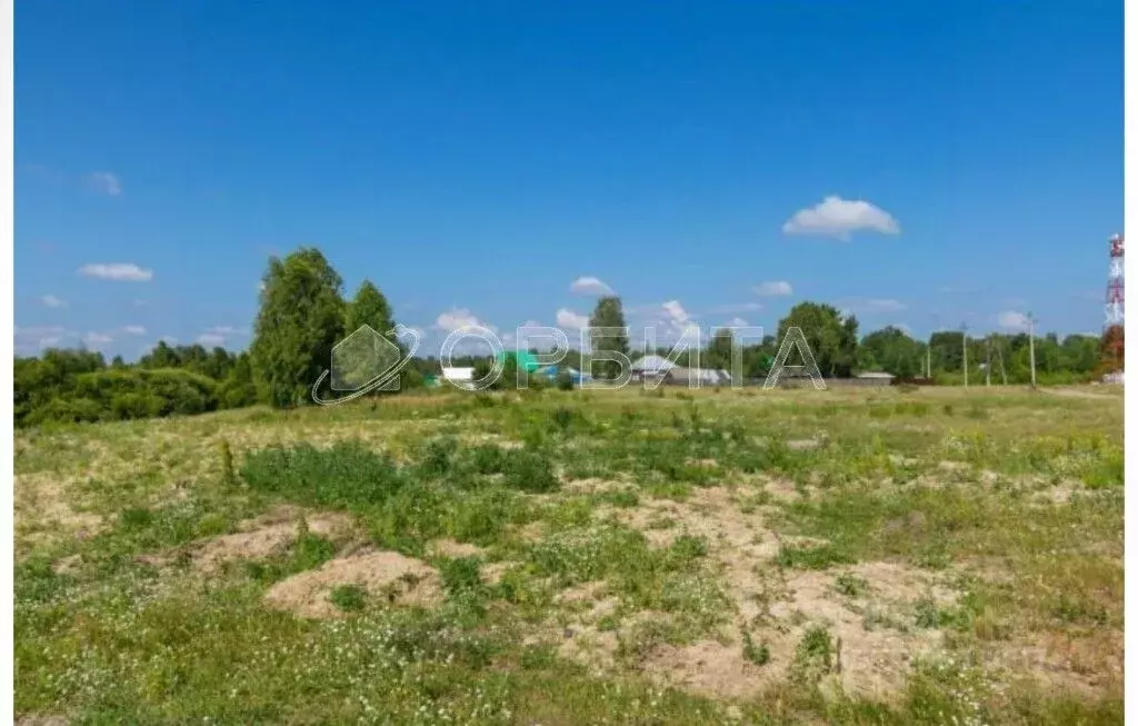 Участок в Тюменская область, Нижнетавдинский муниципальный округ, пос. ... - Фото 2