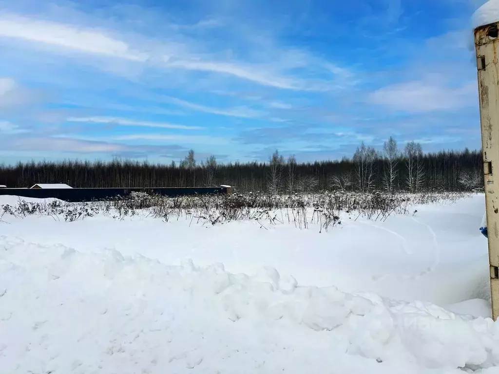 Участок в Московская область, Раменский муниципальный округ, Оттепель ... - Фото 2
