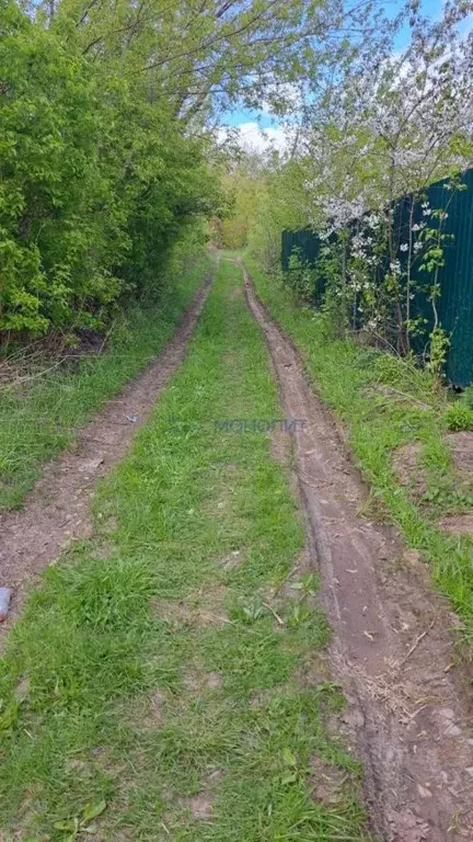 Участок в Нижегородская область, Нижний Новгород Маяк садовое ... - Фото 1