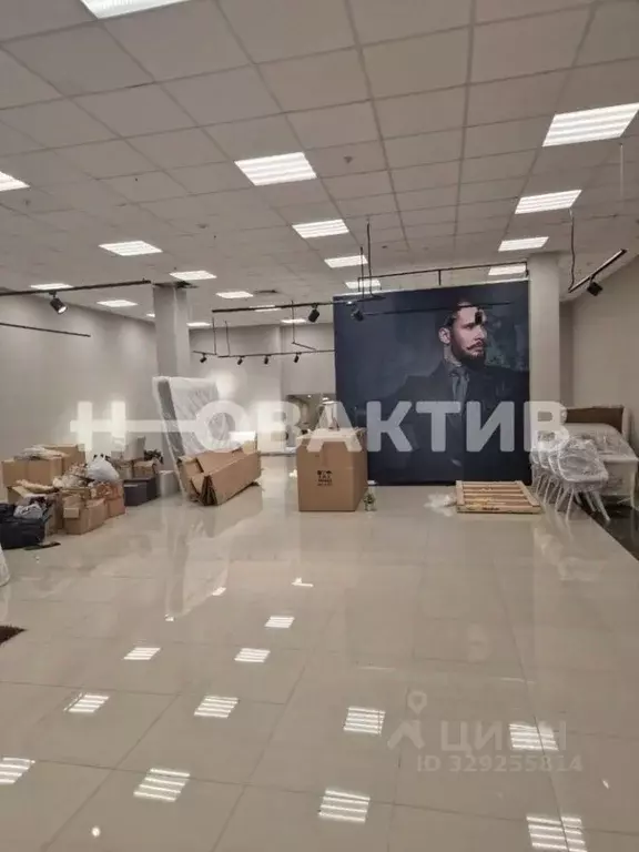 Помещение свободного назначения в Новосибирская область, Новосибирск ... - Фото 2