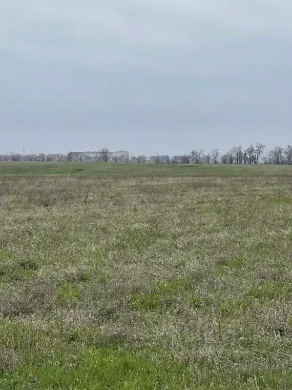 Участок в Крым, Симферопольский район, Николаевка пгт ул. Советская ... - Фото 1