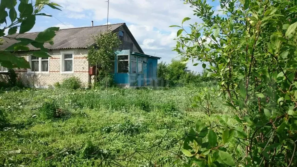 Погода турово на 14