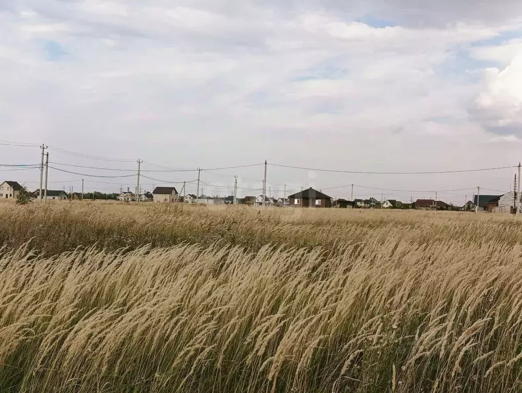 Участок в Тамбовская область, Тамбовский муниципальный округ, пос. ... - Фото 0