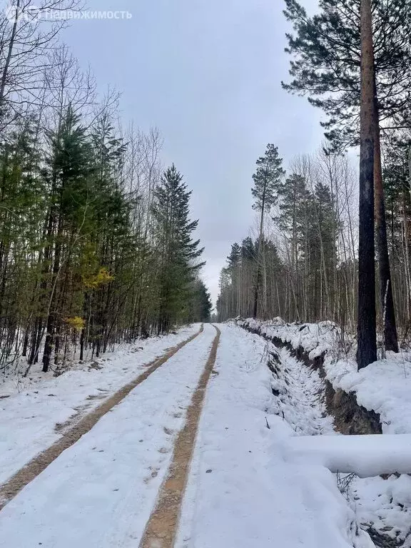 Участок в Иркутский муниципальный округ, СНТ Звезда (9 м) - Фото 2
