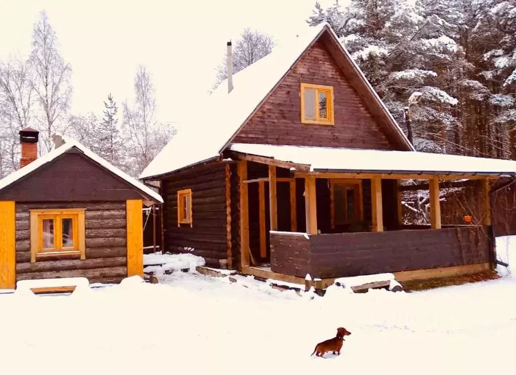 Дом в Тверская область, Осташковский муниципальный округ, д. Гуща 49 ... - Фото 1