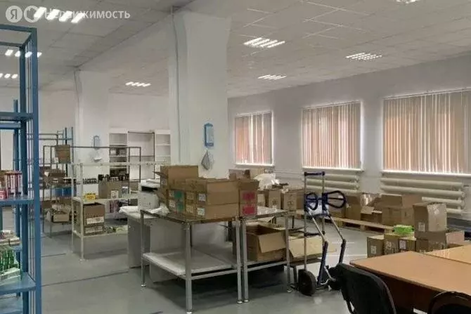 Помещение свободного назначения (170 м) - Фото 0