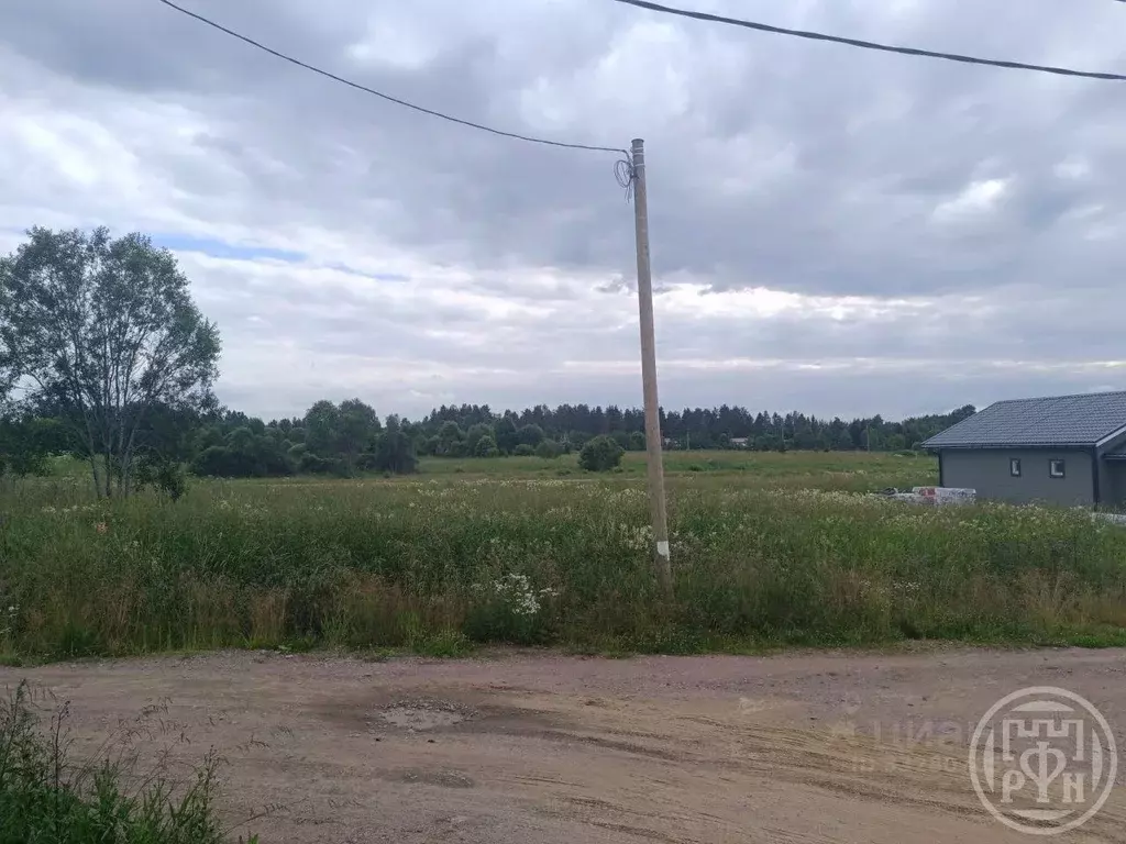 Участок в Ленинградская область, Выборгский район, Рощинское городское ... - Фото 2