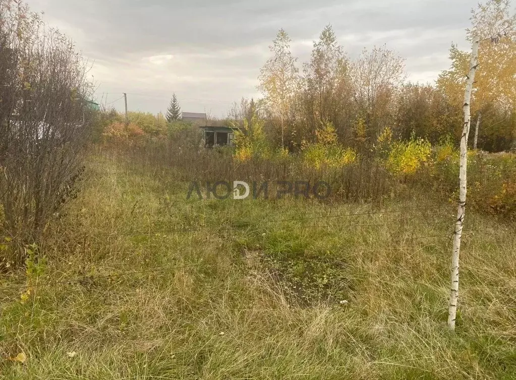 Участок в Башкортостан, Уфимский район, Кирилловский сельсовет, ... - Фото 1