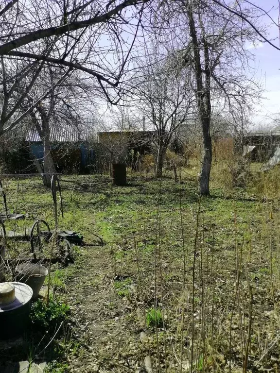 Участок в Челябинская область, Челябинск Любитель-2 СНТ,  (3.2 сот.) - Фото 0