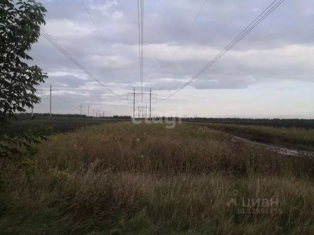 Участок в Тамбовская область, Тамбовский муниципальный округ, д. ... - Фото 1