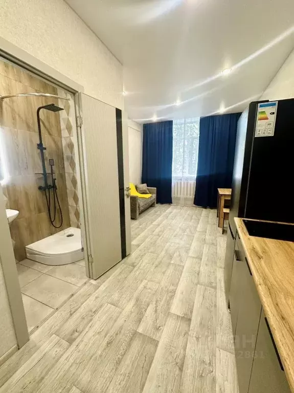 Студия Татарстан, Казань ул. Димитрова, 8 (18.2 м) - Фото 1