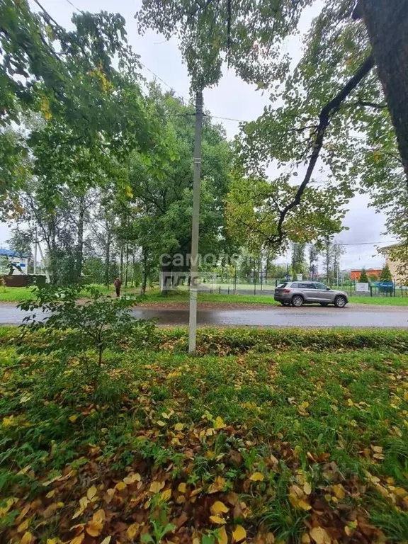 2-к кв. Ленинградская область, Любань Тосненский район, ул. Карла ... - Фото 2