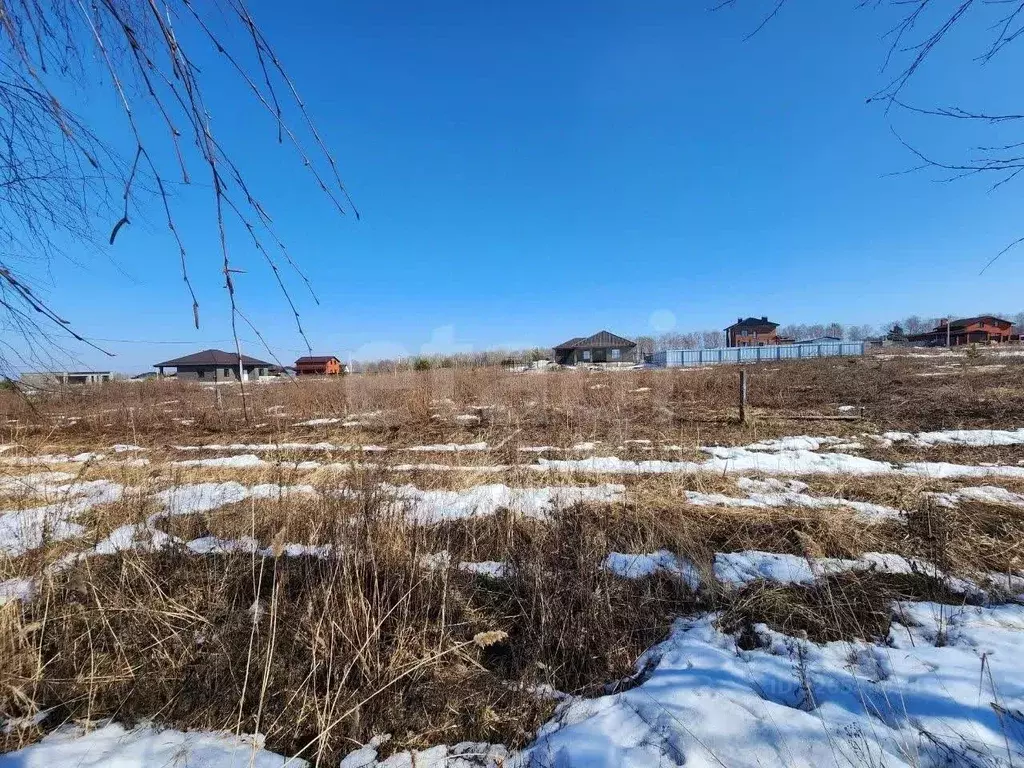 Участок в Брянская область, Брянский район, Мичуринское с/пос, д. ... - Фото 1