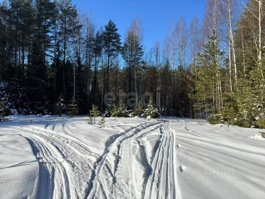 Участок в Вологодская область, Усть-Кубинский муниципальный округ, ... - Фото 2
