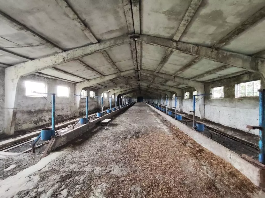 Помещение свободного назначения в Пензенская область, Каменский район, ... - Фото 1