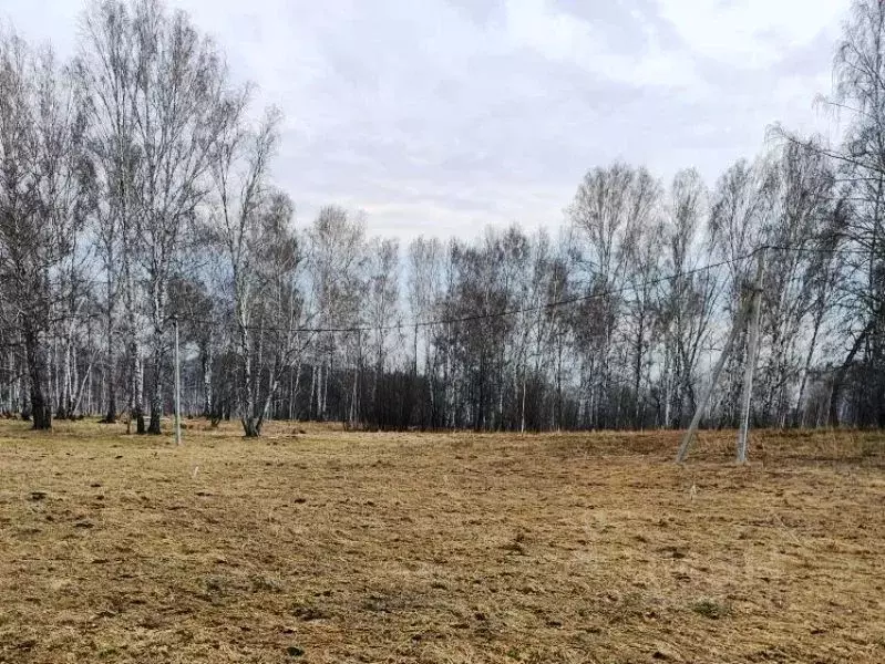 Участок в Новосибирская область, Новосибирский район, Станционный ... - Фото 1