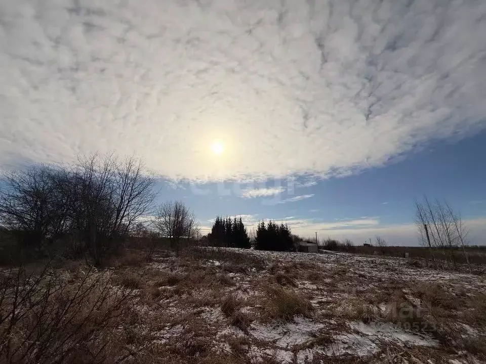 Участок в Вологодская область, с. Марьинское  (13.74 сот.) - Фото 1